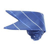 Men's Blue Stripe V Necktie
